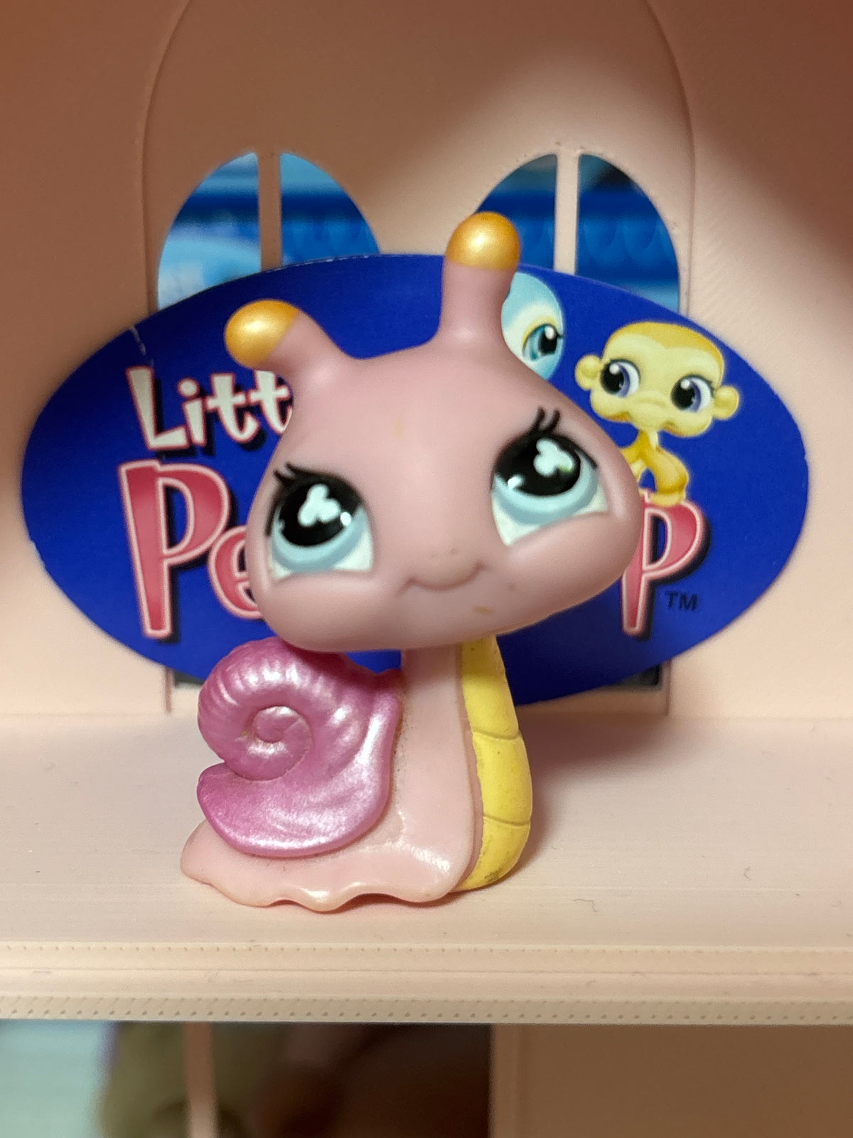 LPS Snail #796