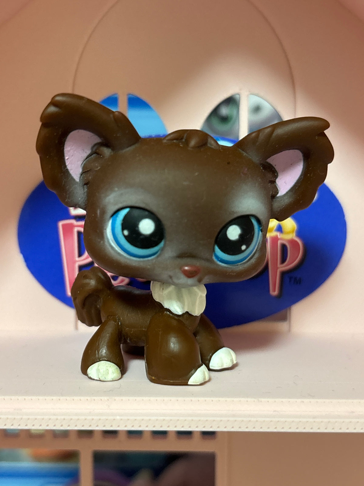 LPS Chihuahua #219
