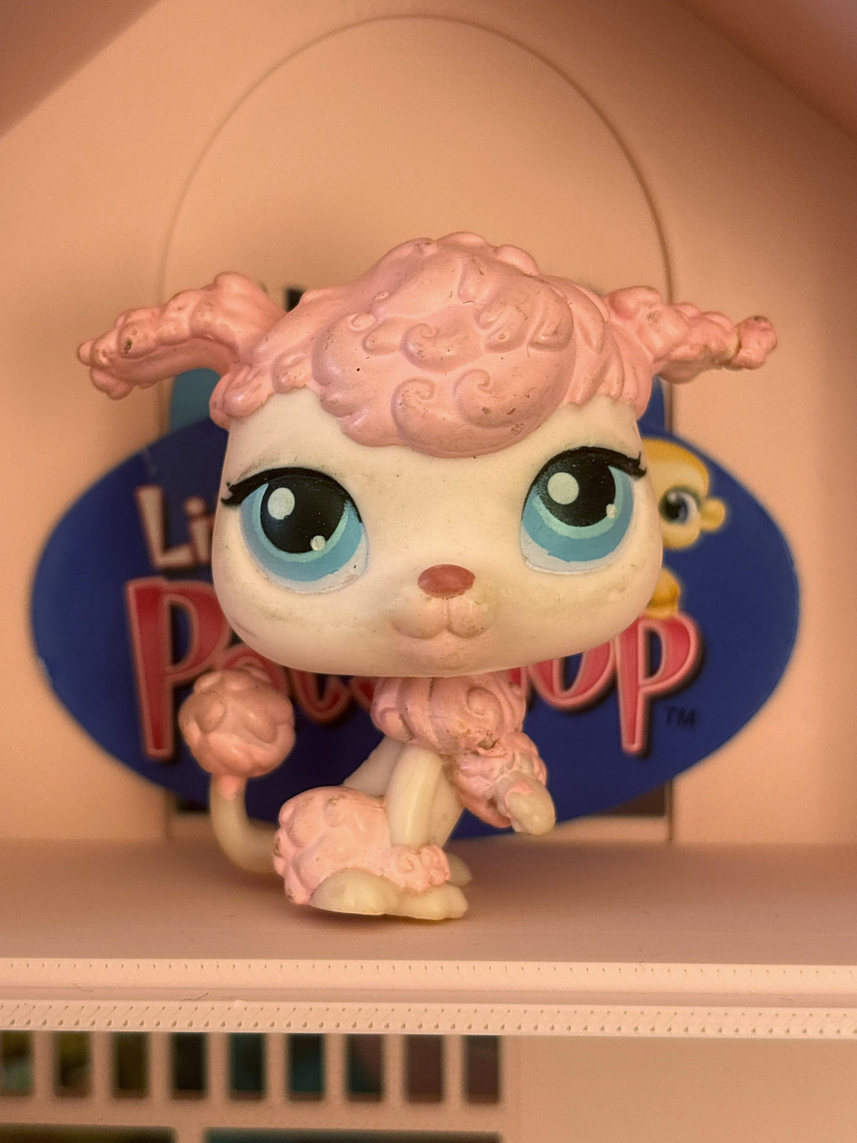 LPS Poodle #48