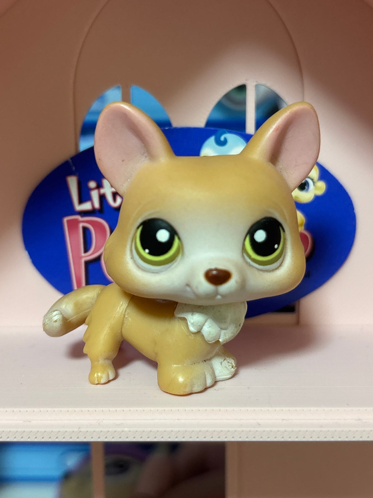 LPS Corgi #183