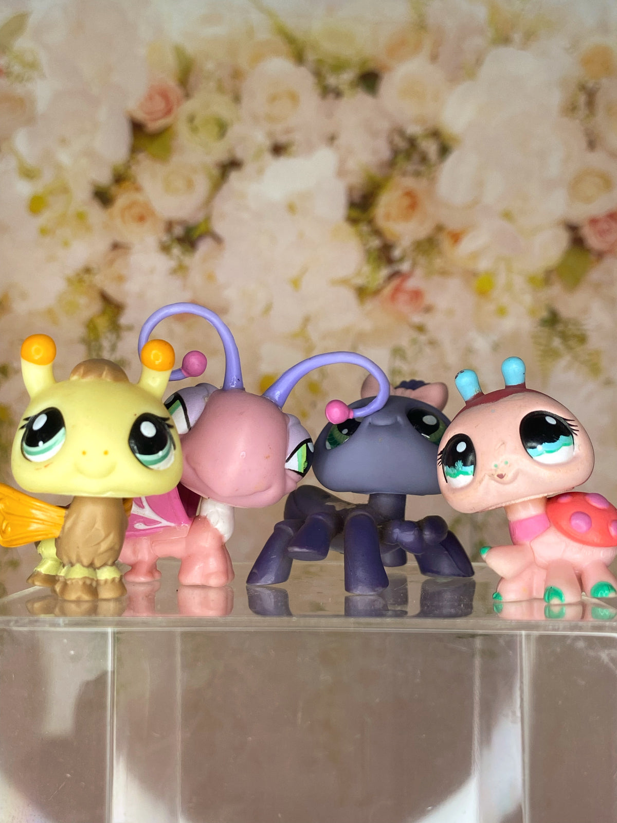 Bugs 🐞