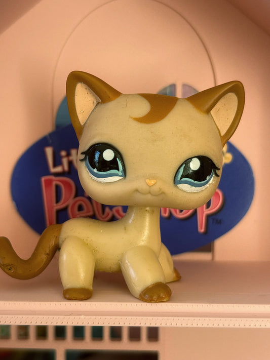 LPS Shorthair Cat #1024