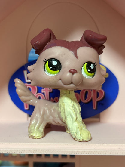 LPS Colley #1723