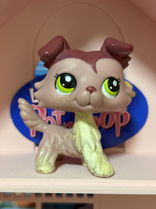 LPS Colley #1723