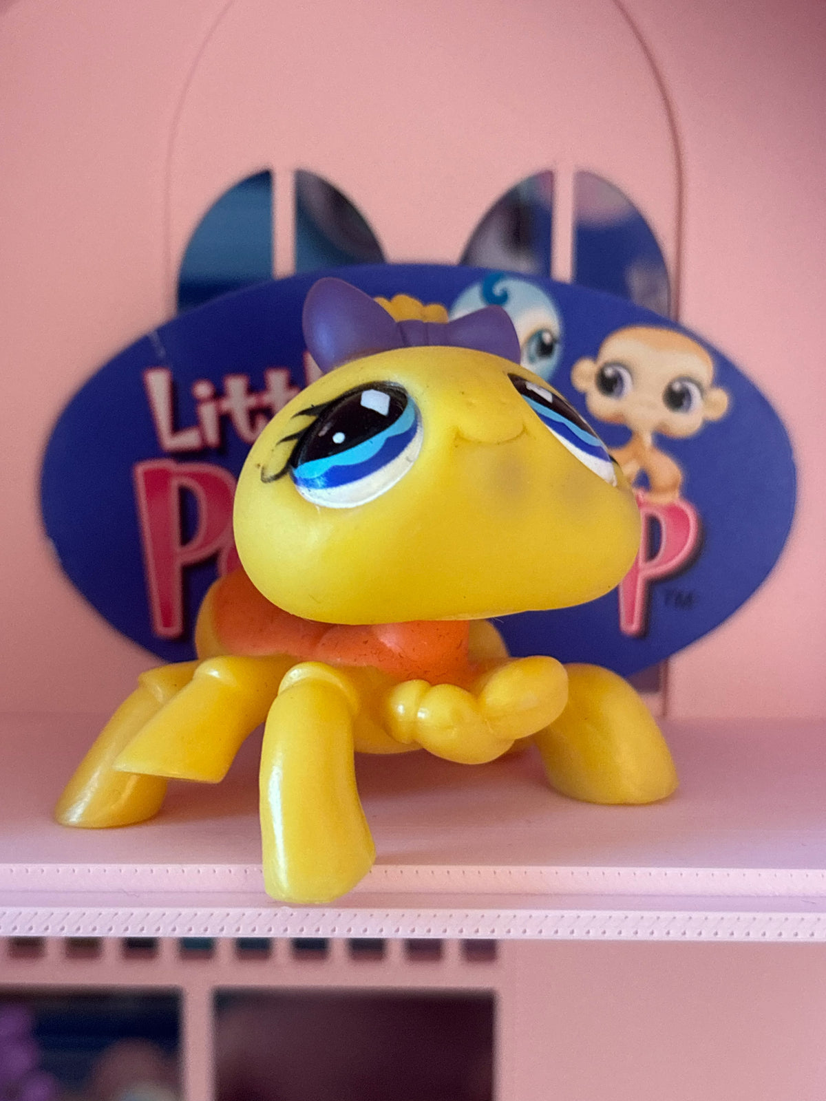 LPS Spider #593