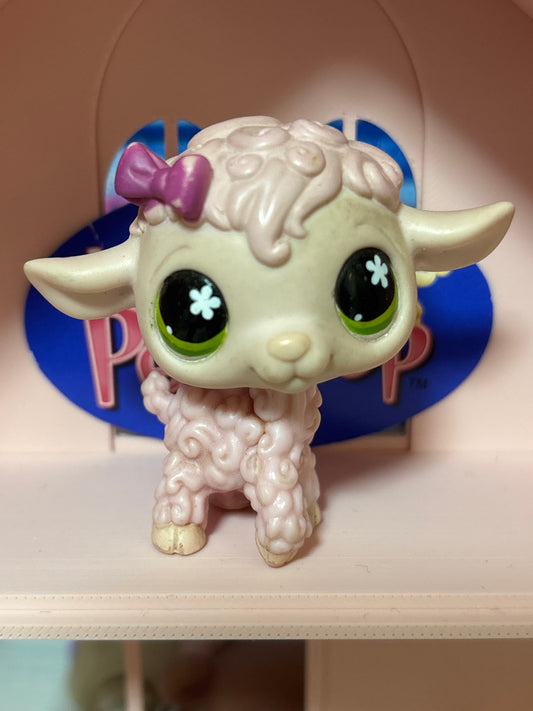 LPS Lamb #585