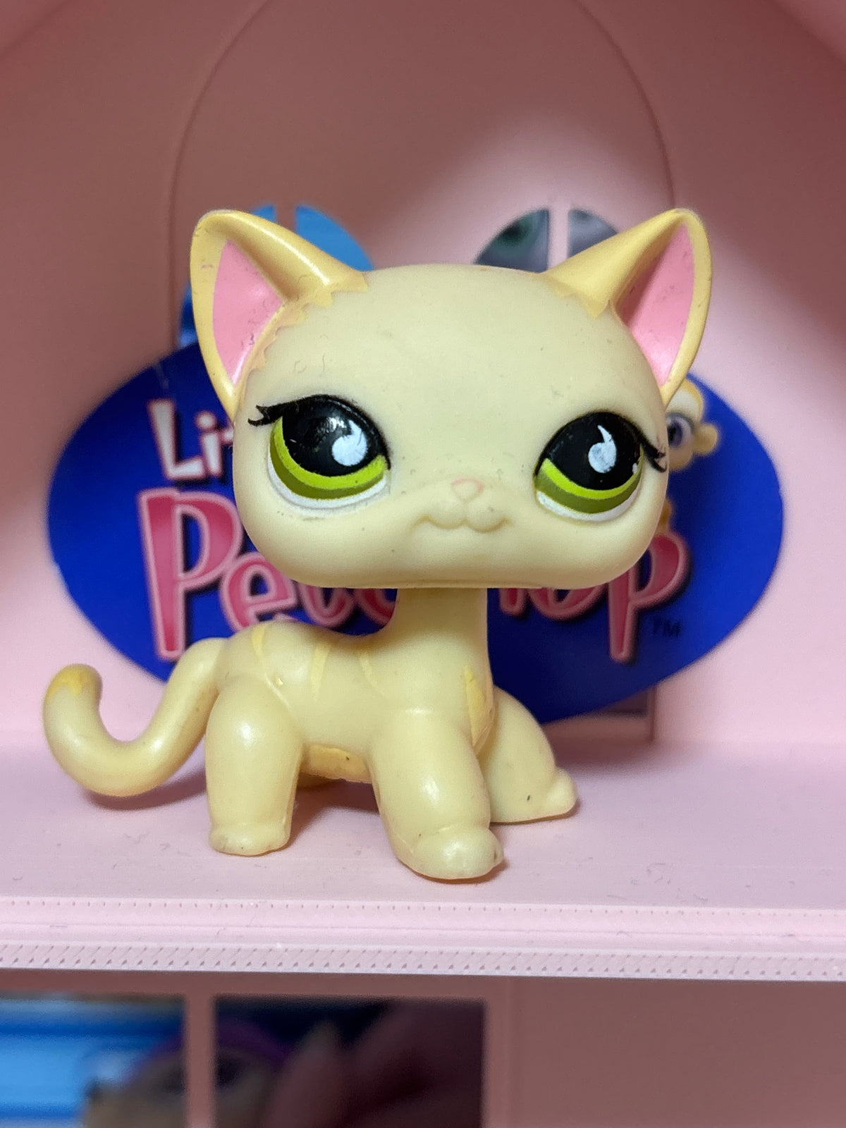 LPS Shorthair Cat #733