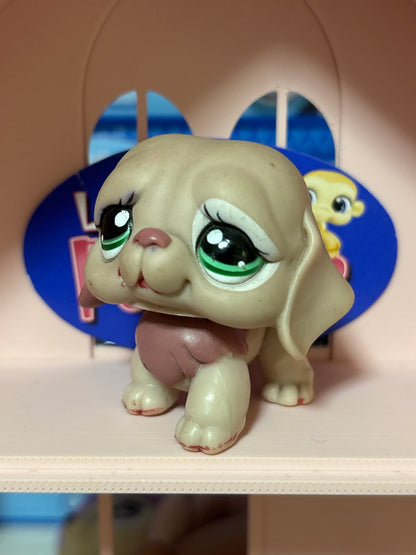 LPS Saint Bernard #1040