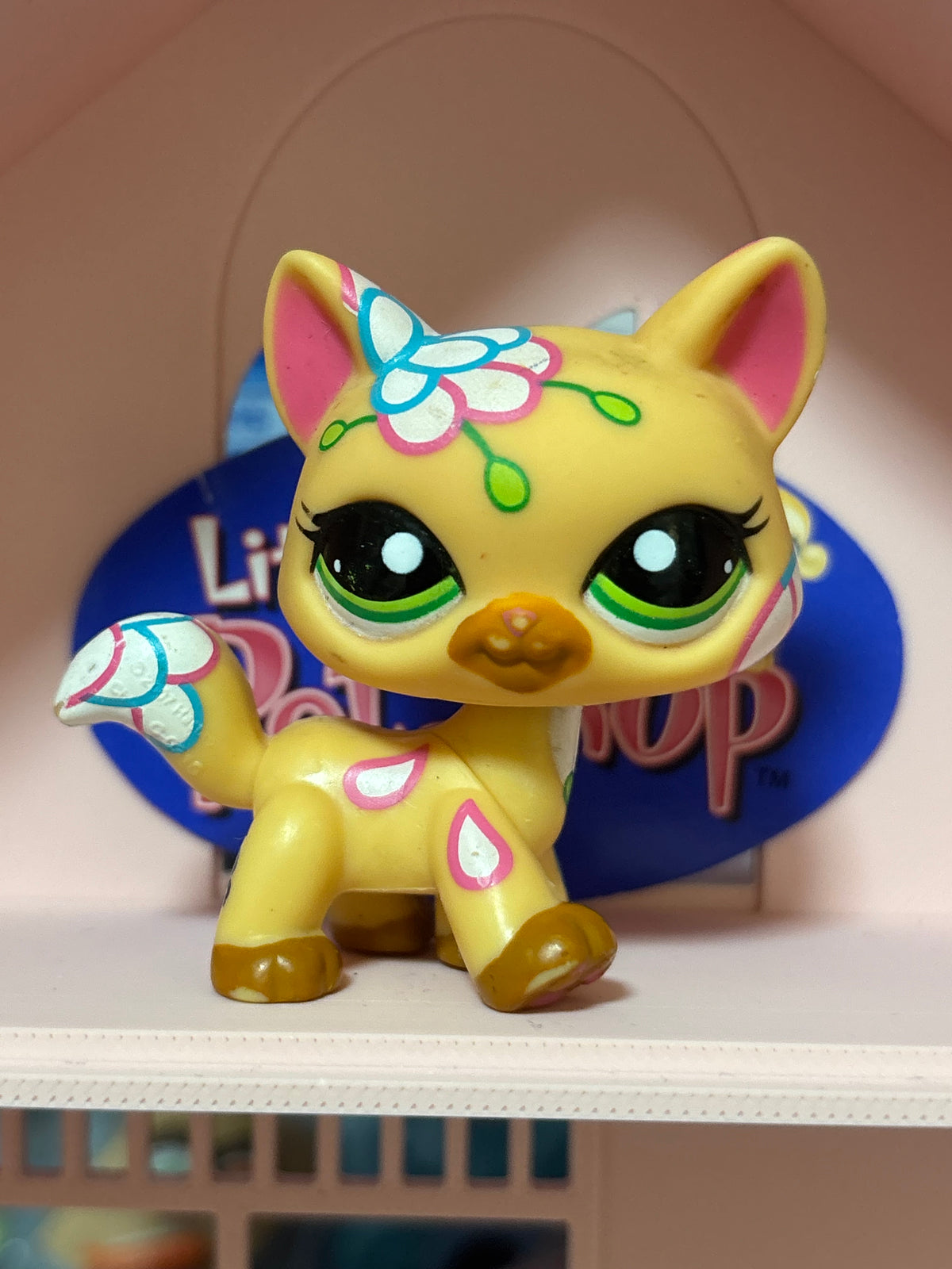 LPS Post Card Cat #1582