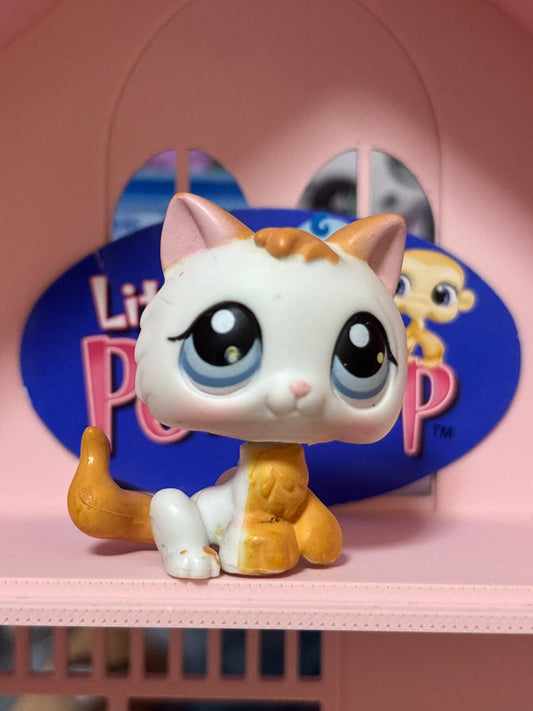 LPS Kitten #134
