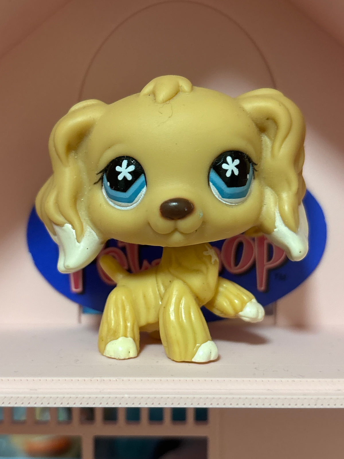 LPS Cocker Spaniel #748
