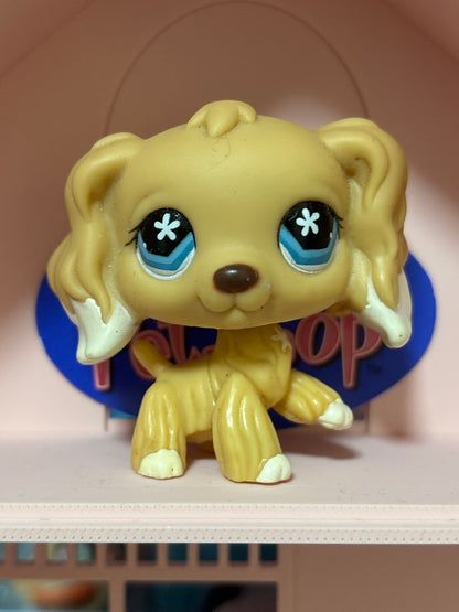 LPS Cocker Spaniel #748