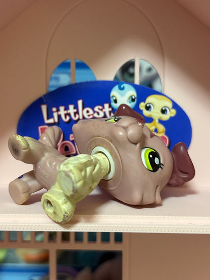 LPS Colley #1723