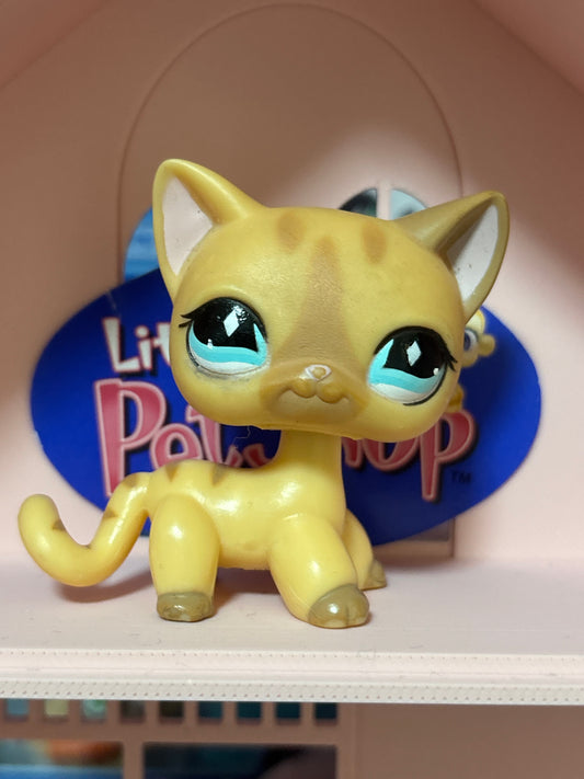 LPS Shorthair Cat #886